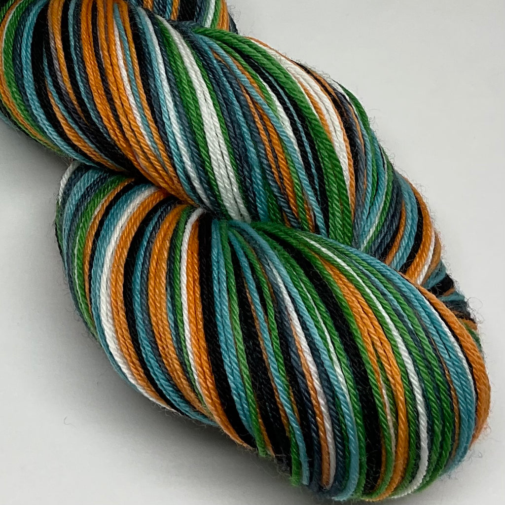 Roar Six Stripe Self Striping Yarn