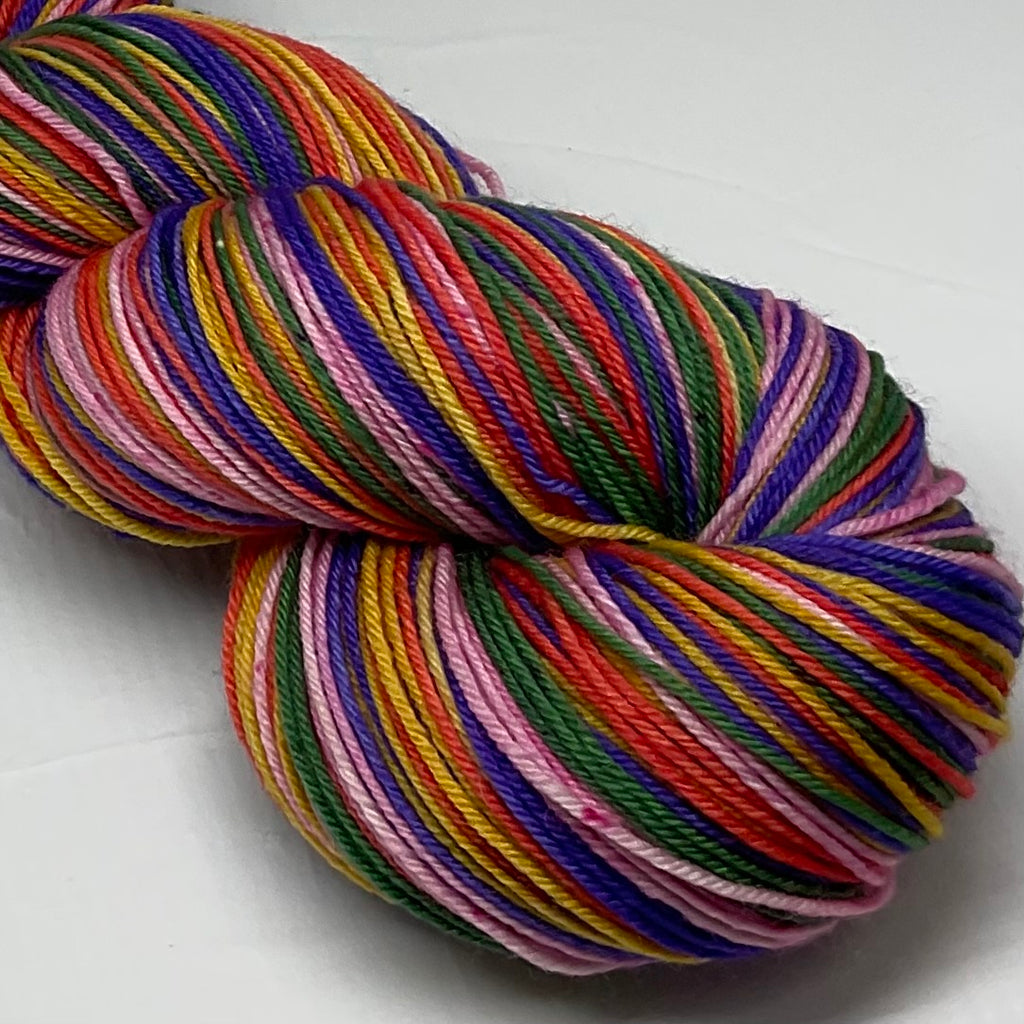 The Vanishing Half Five Stripe Self Striping Yarn