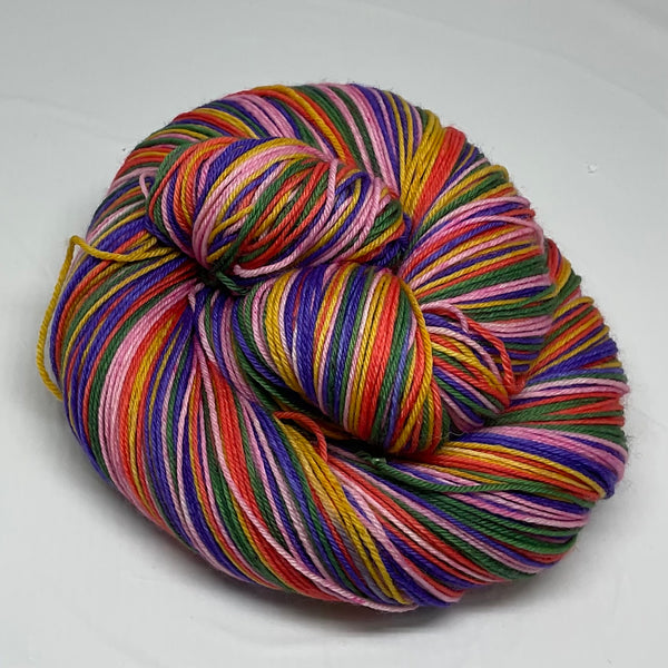 The Vanishing Half Five Stripe Self Striping Yarn