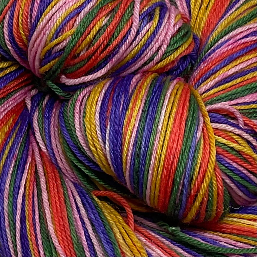 The Vanishing Half Five Stripe Self Striping Yarn