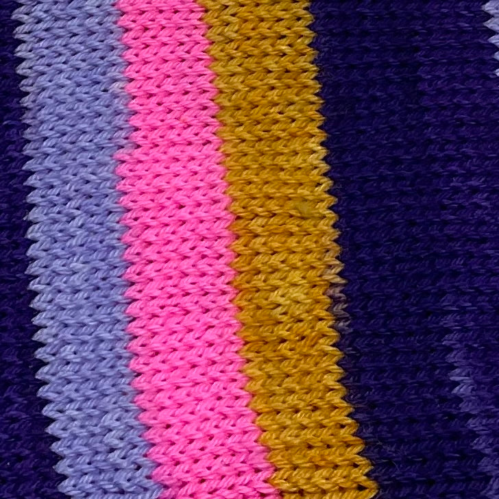 2020: Year of the Rat Five Stripe Self Striping Yarn