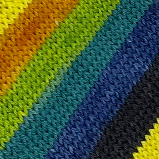 The One and Only Ivan Six Stripe Self Striping Yarn