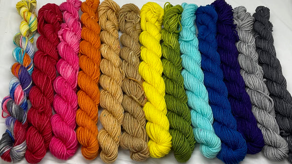 Rainbow Pantsuits Thirteen Mini Skeins Yarn Set