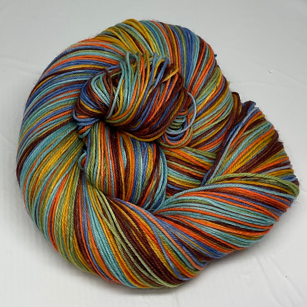 Wild & Scenic Six Stripe Self Striping Yarn