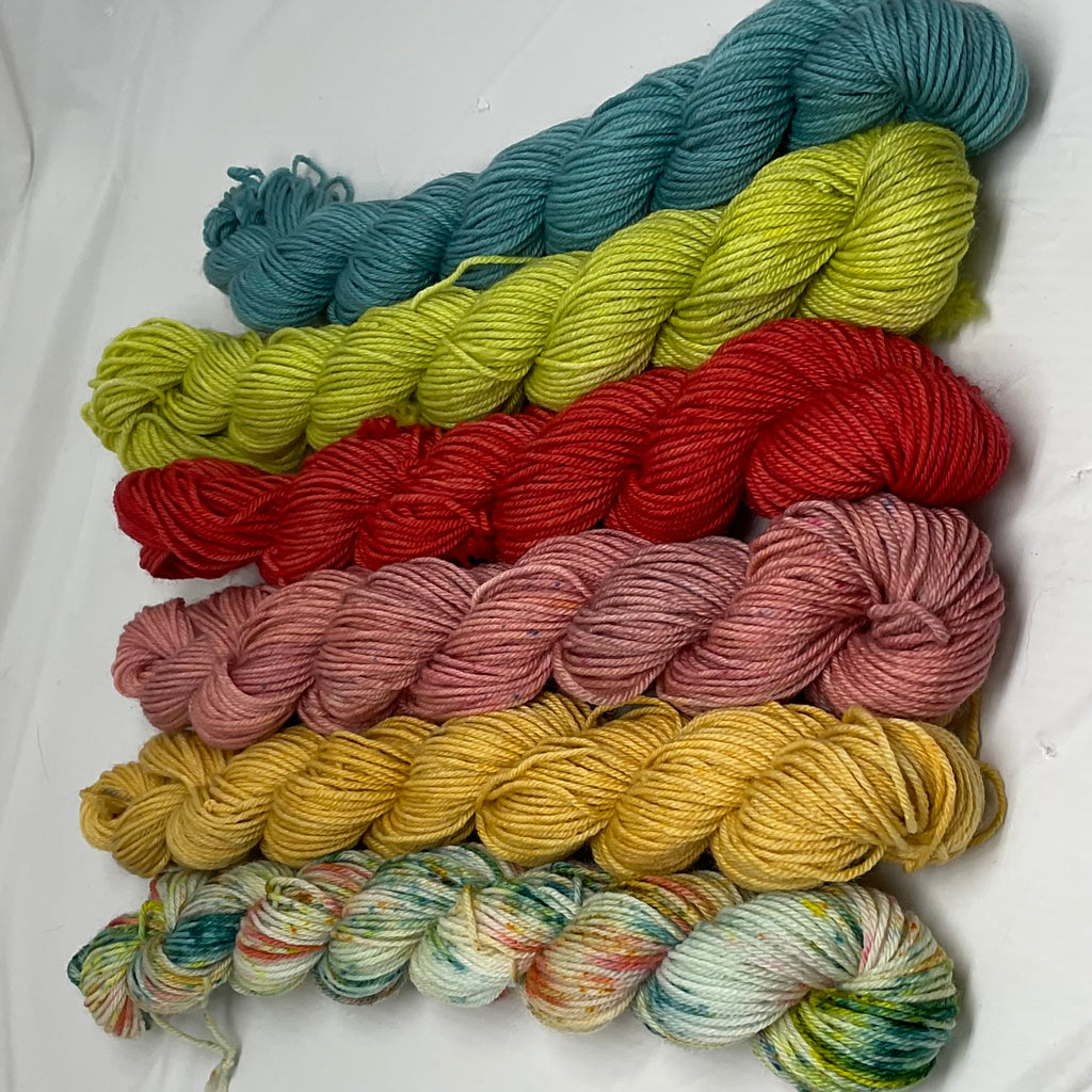 West Coast Summertime Mini Skein Set