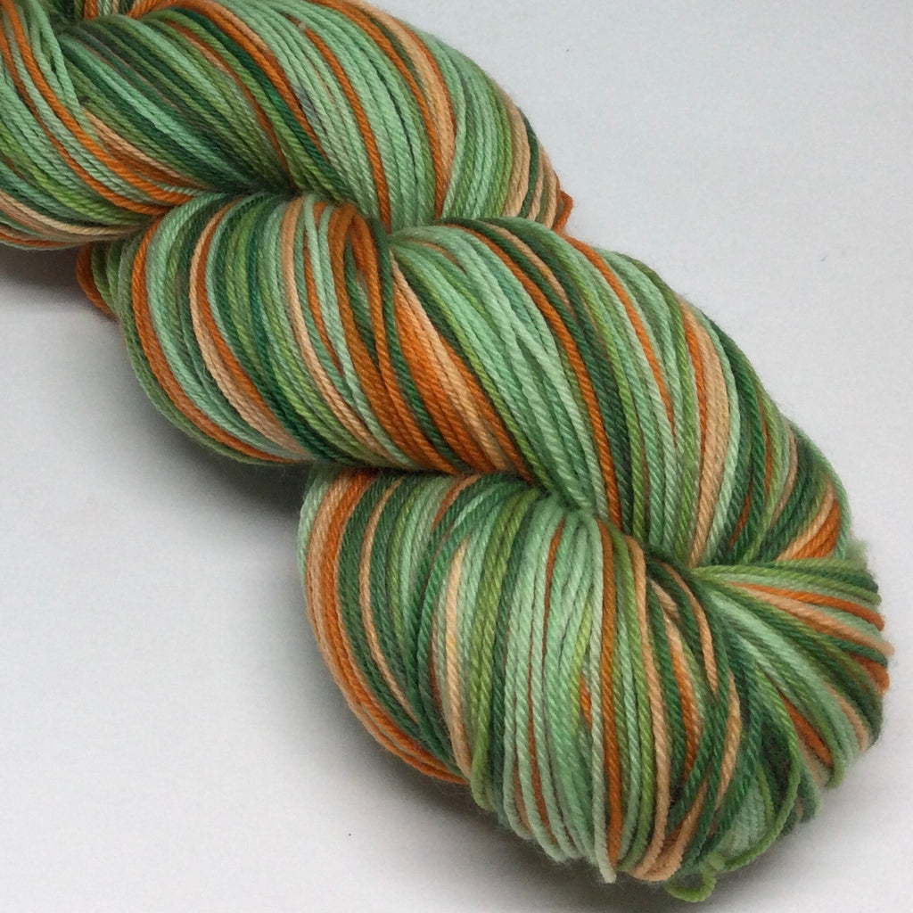 Leave the Path Behind Six Stripe Self Striping Sock Yarn