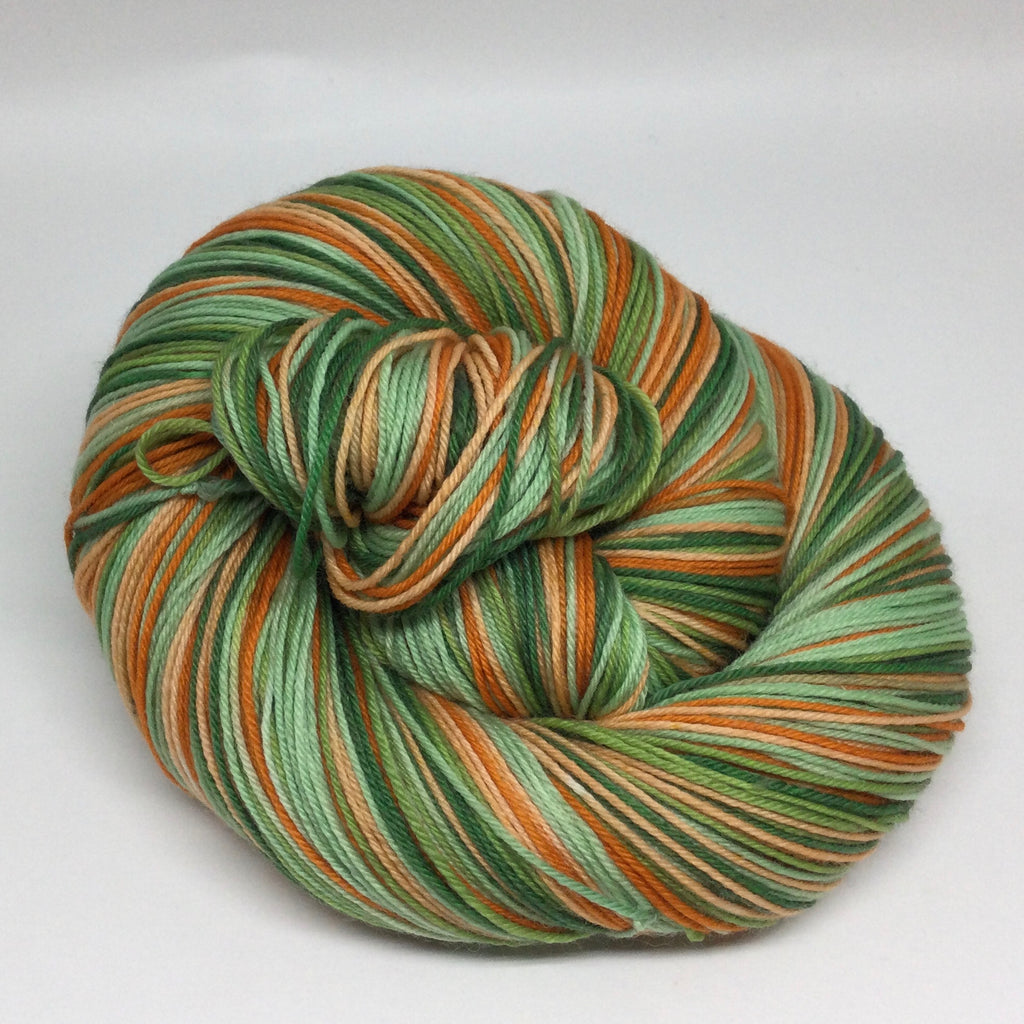 Leave the Path Behind Six Stripe Self Striping Sock Yarn