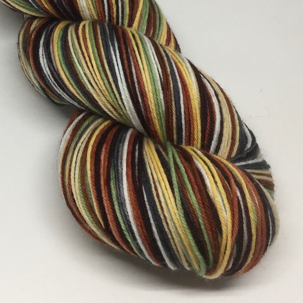 Trail Mix Day Eight Stripe Self Striping Yarn