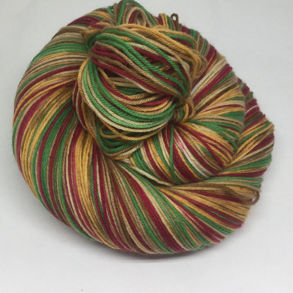 Leftover Turkey Sandwich Five Stripe Self Striping Sock Yarn