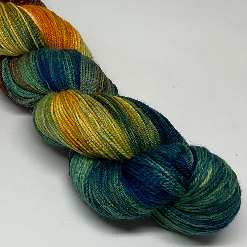 Environmental Conservation Variegated Yarn