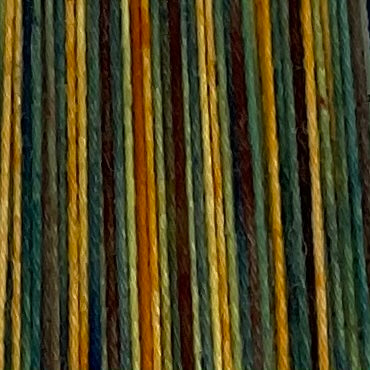 Environmental Conservation Variegated Yarn