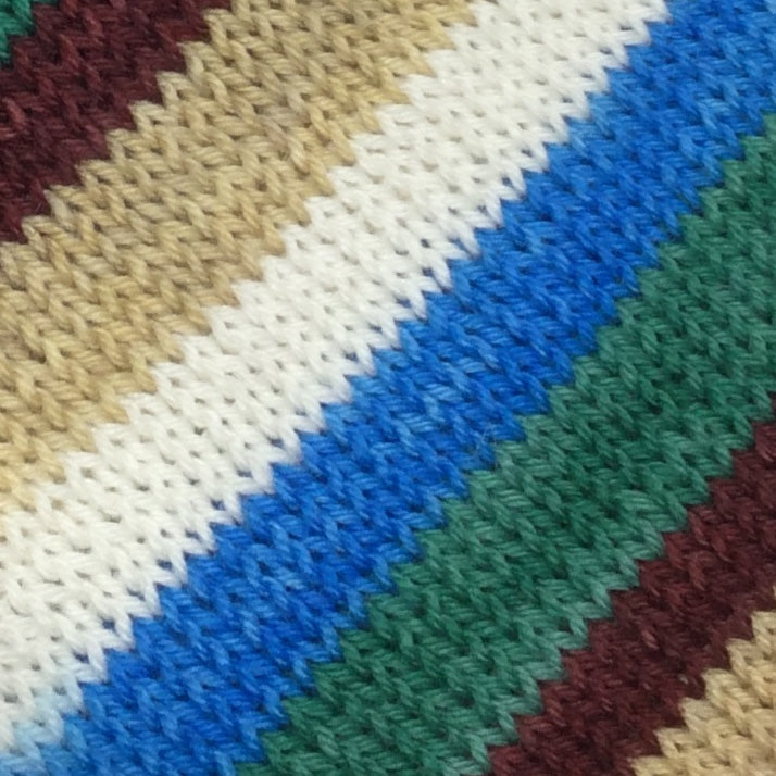 Tierra del Fuego Five Stripe Self Striping Sock Yarn