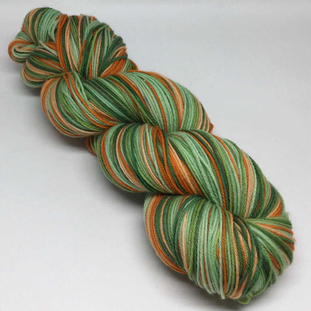 Leave the Path Behind Six Stripe Self Striping Sock Yarn