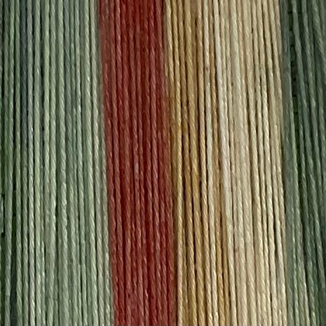 Abstract Cacti Five Stripe Self Striping Yarn