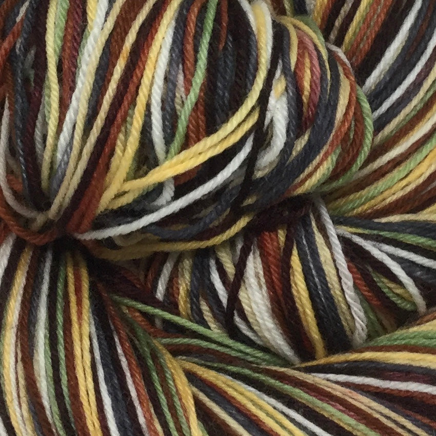 Trail Mix Day Eight Stripe Self Striping Yarn