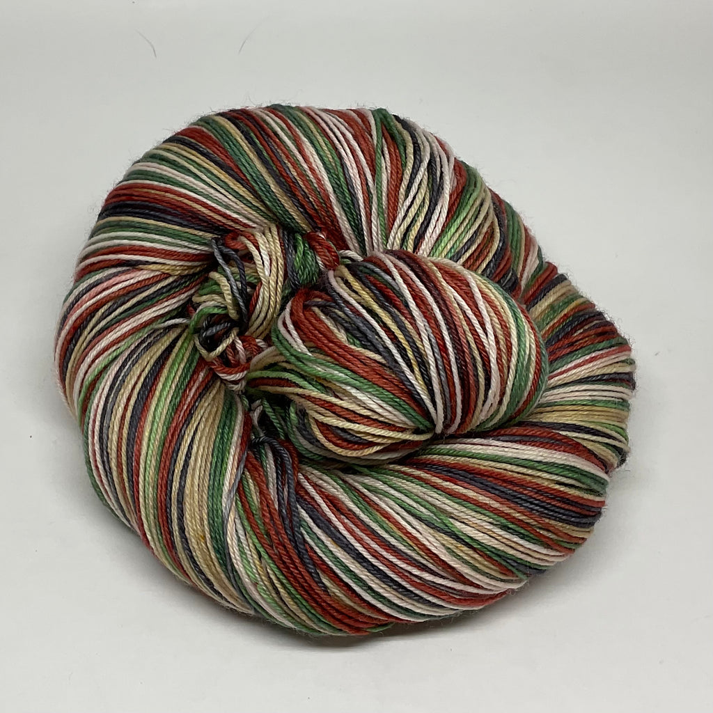 Zoom Party Five Stripe Self Striping Yarn