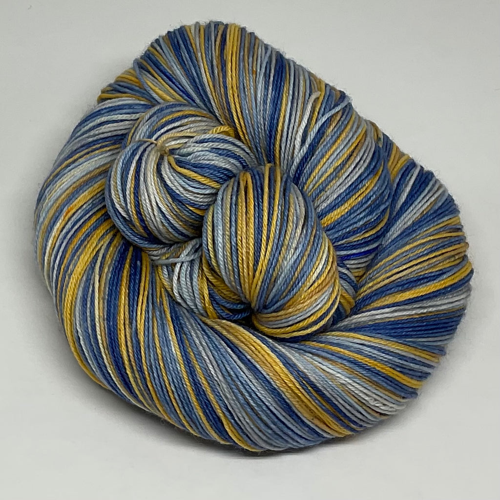 Lion Wall Six Stripe Self Striping Sock Yarn