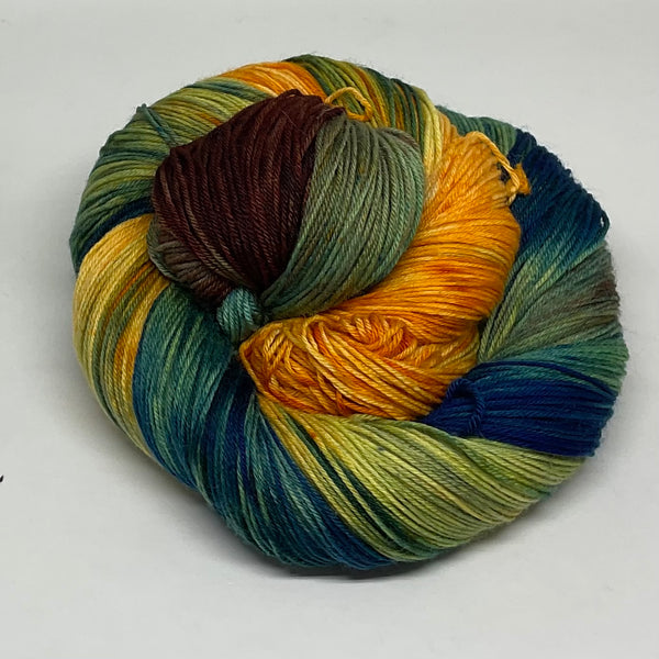 Environmental Conservation Variegated Yarn