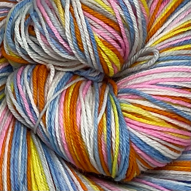 Axolotl Six Stripe Self Striping Yarn