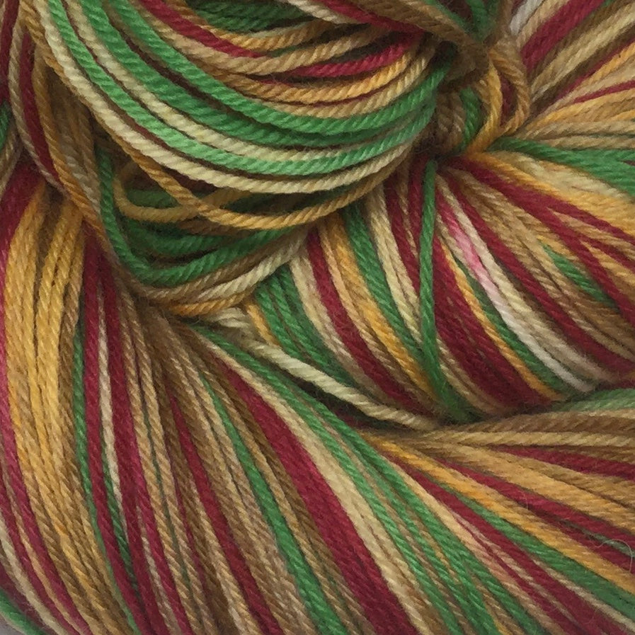 Leftover Turkey Sandwich Five Stripe Self Striping Sock Yarn