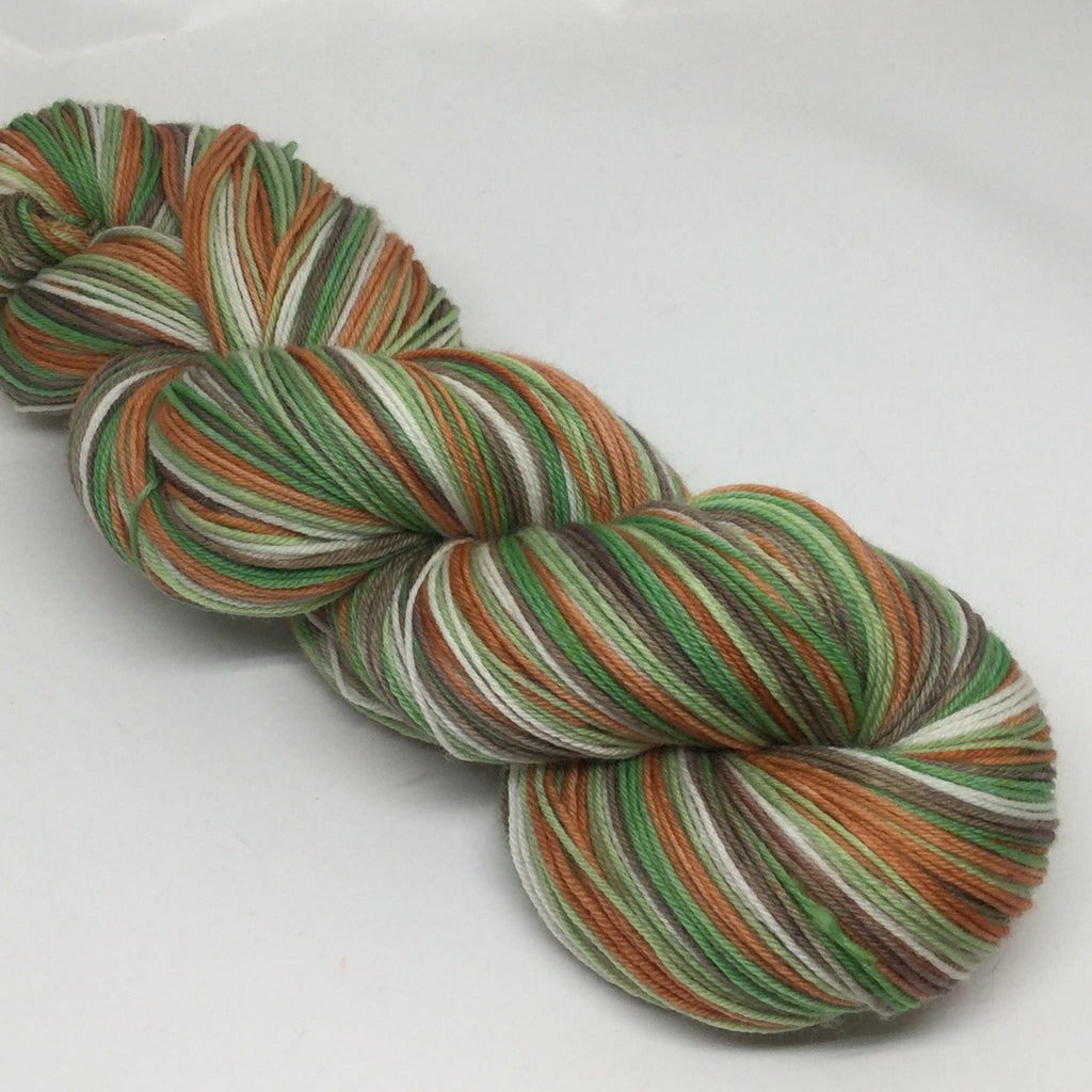 Wind in the Willows Five Stripe Self Striping Yarn