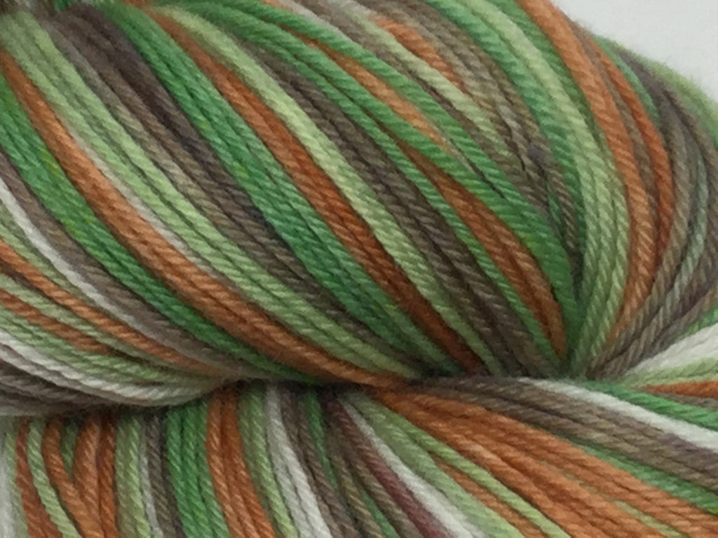 Wind in the Willows Five Stripe Self Striping Yarn