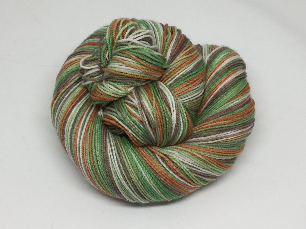 Wind in the Willows Five Stripe Self Striping Yarn