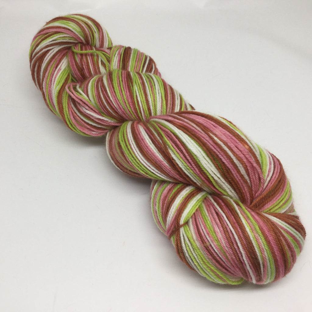 Prodigal Summer Four Stripe Self Striping Yarn