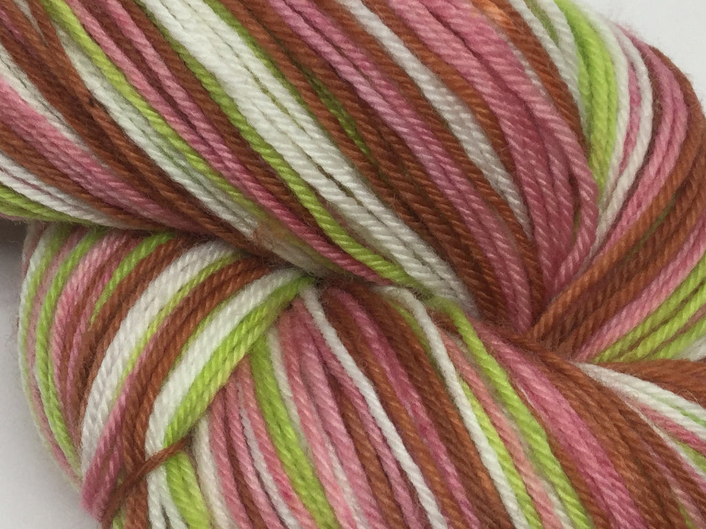 Prodigal Summer Four Stripe Self Striping Yarn