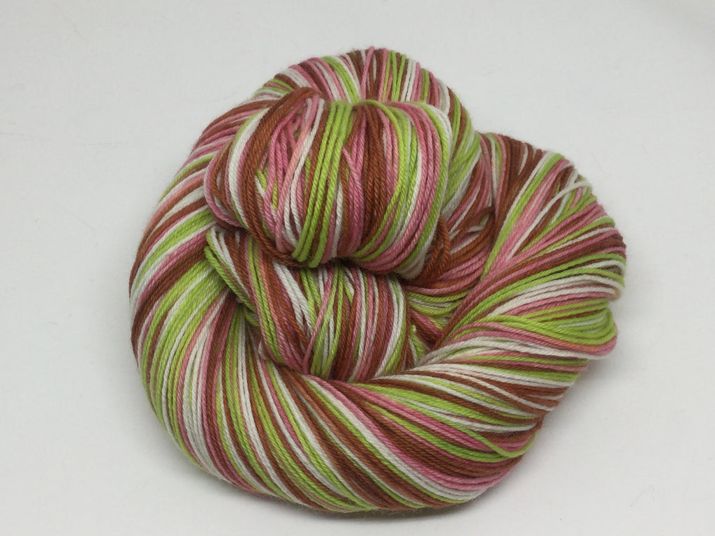 Prodigal Summer Four Stripe Self Striping Yarn