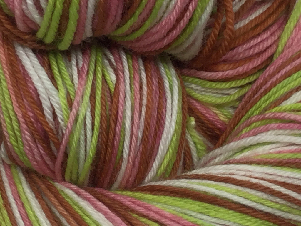 Prodigal Summer Four Stripe Self Striping Yarn