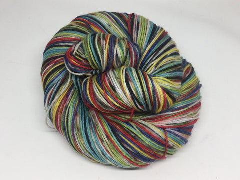 Cranberry Sauce Variegated Yarn - Desert Vista Dyeworks