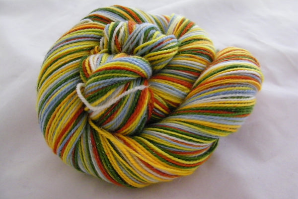 Wildflowers Six Stripe Self Striping Yarn