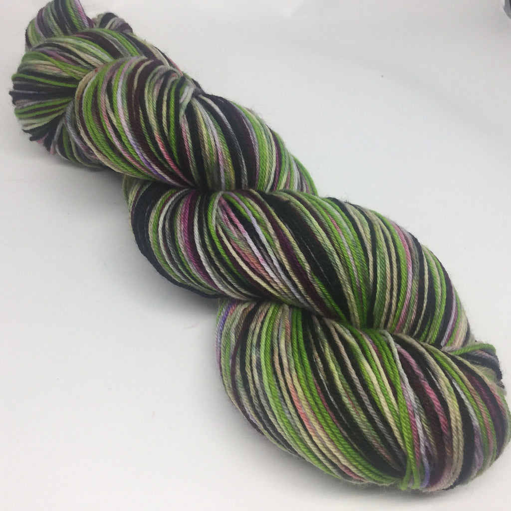 Zombody is Off to See the Wizard SixStripe Self Striping Yarn