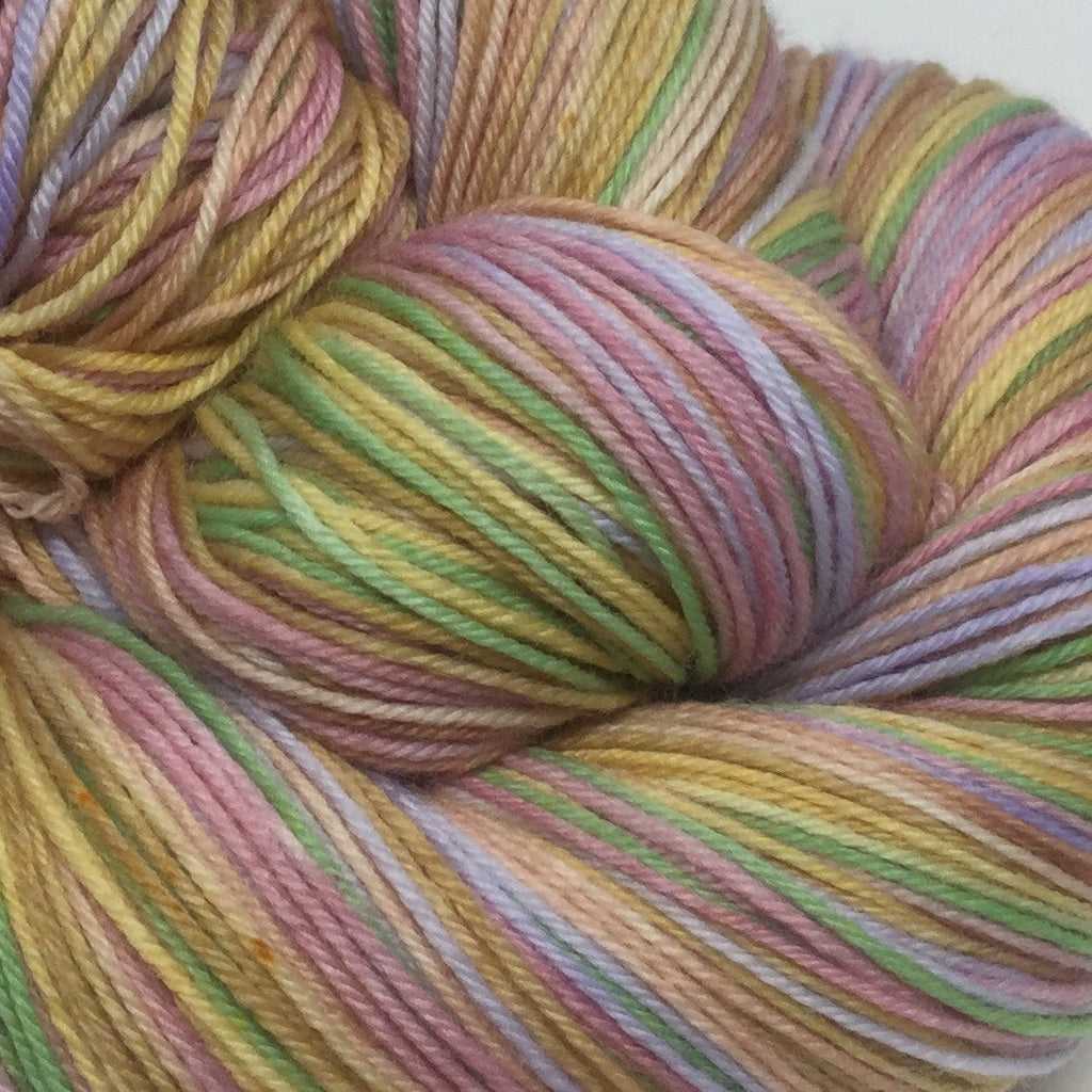 Magician's Nephew Six Stripe Self Striping Yarn