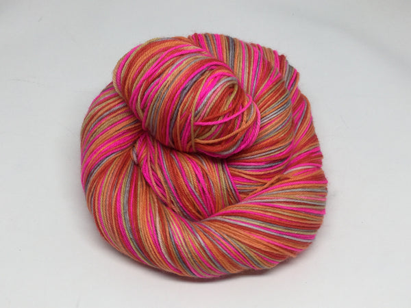 An Immortal Life Five Stripe Self Striping Yarn