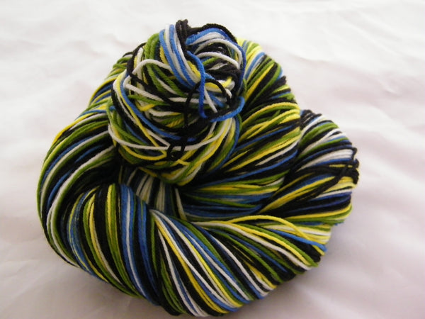 Are You a Parrot Head? Five Stripe Self Striping Yarn
