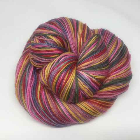 Cranberry Sauce Variegated Yarn - Desert Vista Dyeworks