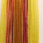 The Kiss Four Stripe Self Striping Yarn