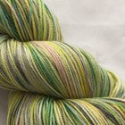 Vogue Hand Painted Variegated Yarn